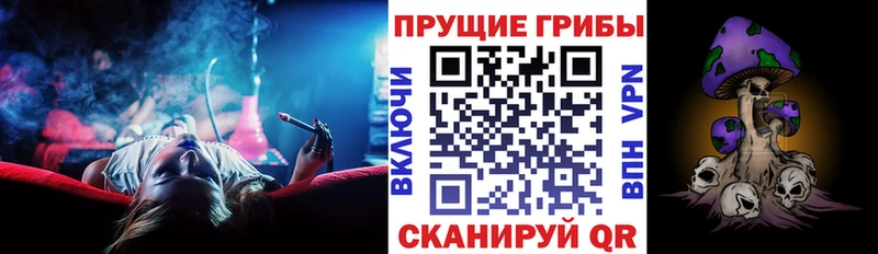 дарнет шоп  Иваново  Галлюциногенные грибы Psilocybe 